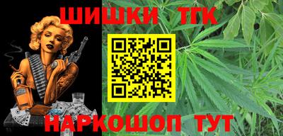 гашик Сланцы